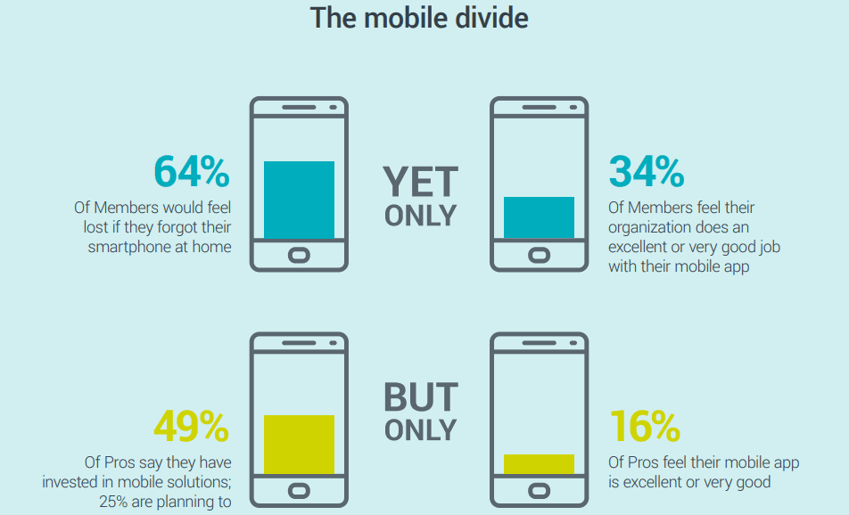 mobile-divide